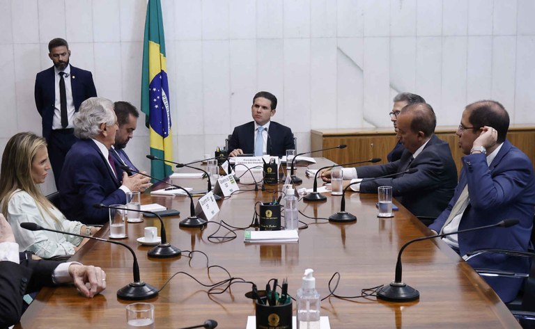 Marina Ramos Câmara dos Deputados (2).jpg