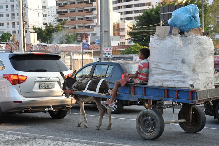 1 Carroça no Transito de João Pessoa.jpg