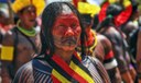 indigena.jpg