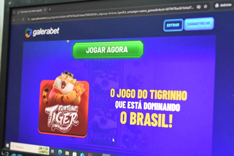 Bets © João Pedrosa (3).JPG
