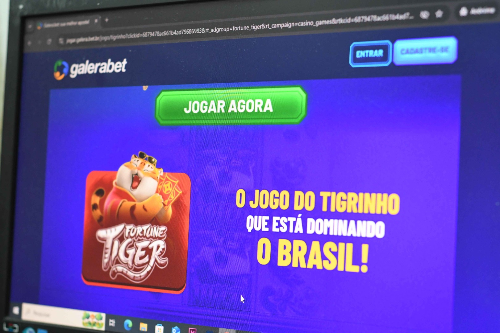 Bets © João Pedrosa (3).JPG