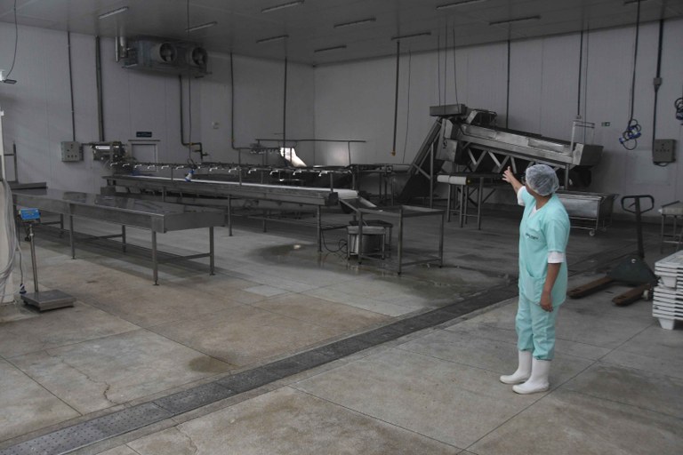 2025.07.30 Terminal Pesqueiro Cabedelo © João Pedrosa (57).JPG