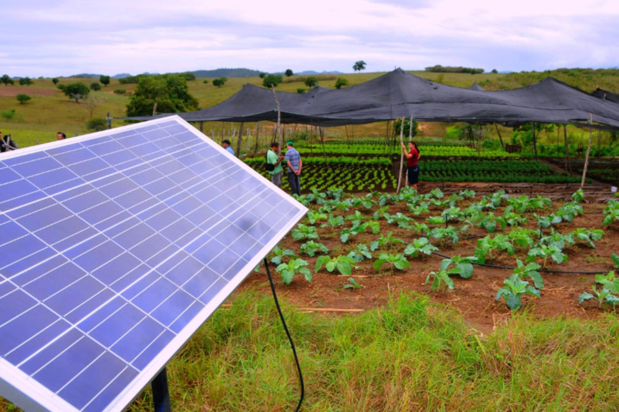 GURINHEM jornal 4.jpg