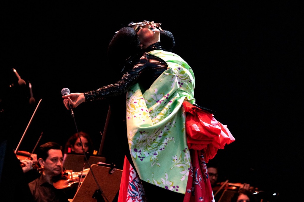 Bjork - Foto Santiago Felipe.jpg