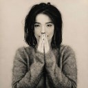 Björk Debut.jpg