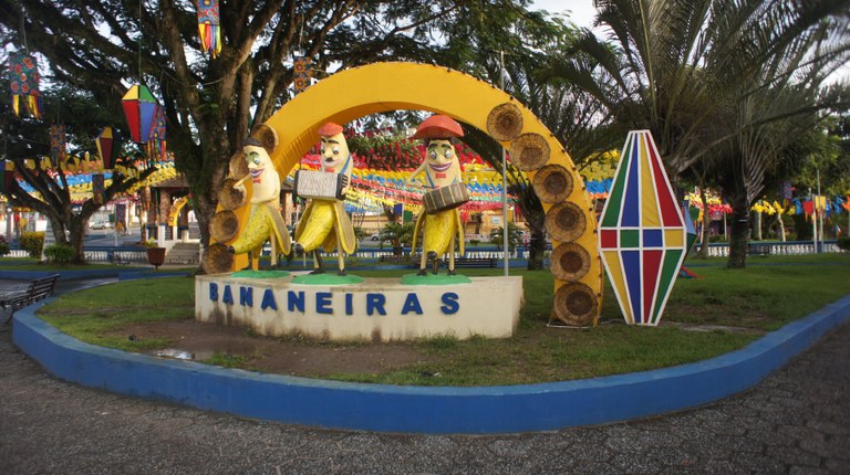 Bananeiras (Foto Teresa Duarte).JPG