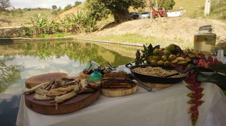 Bananeiras (Foto Teresa Duarte).JPG