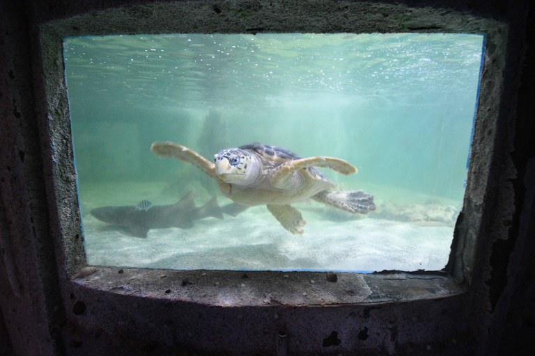 Aquário Paraíba © Carlos Rodrigo (15).JPG