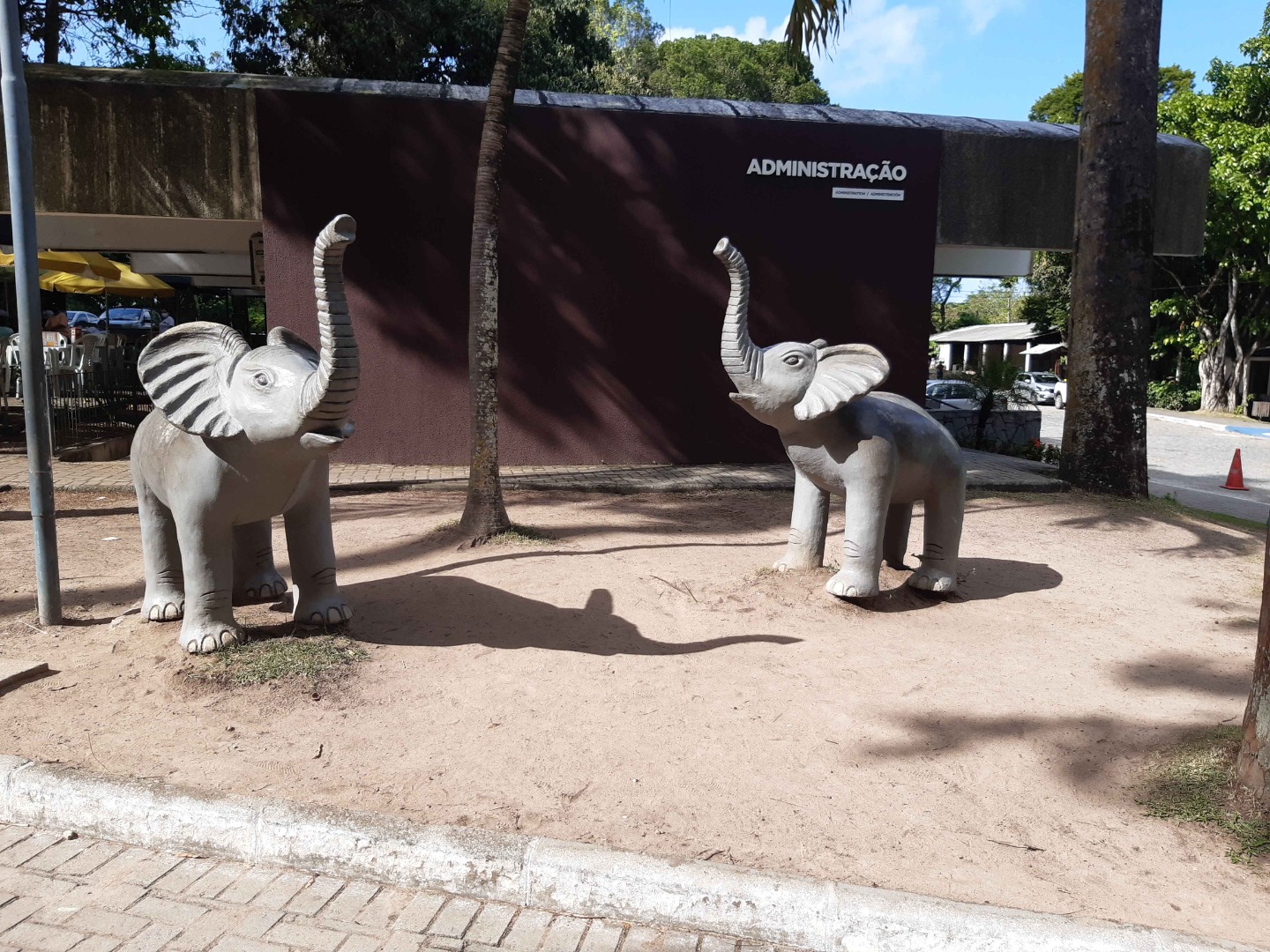 João Pessoa (Foto Teresa Duarte).jpg
