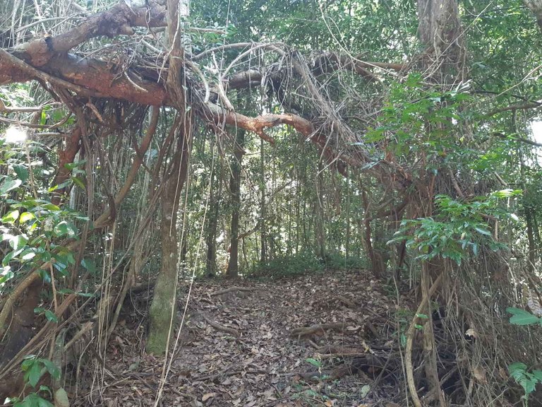 João Pessoa I (Foto Teresa Duarte).jpg