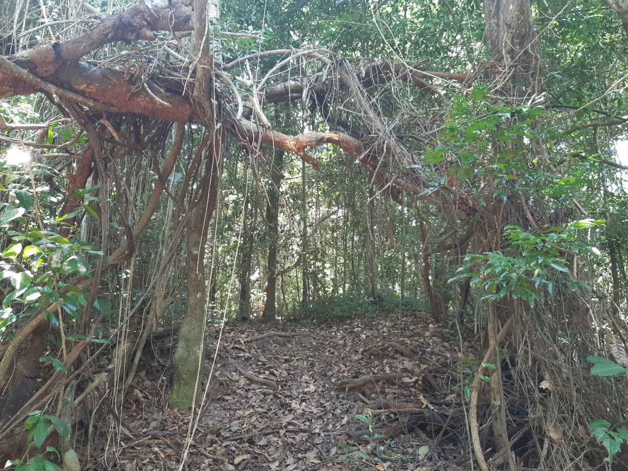 João Pessoa I (Foto Teresa Duarte).jpg