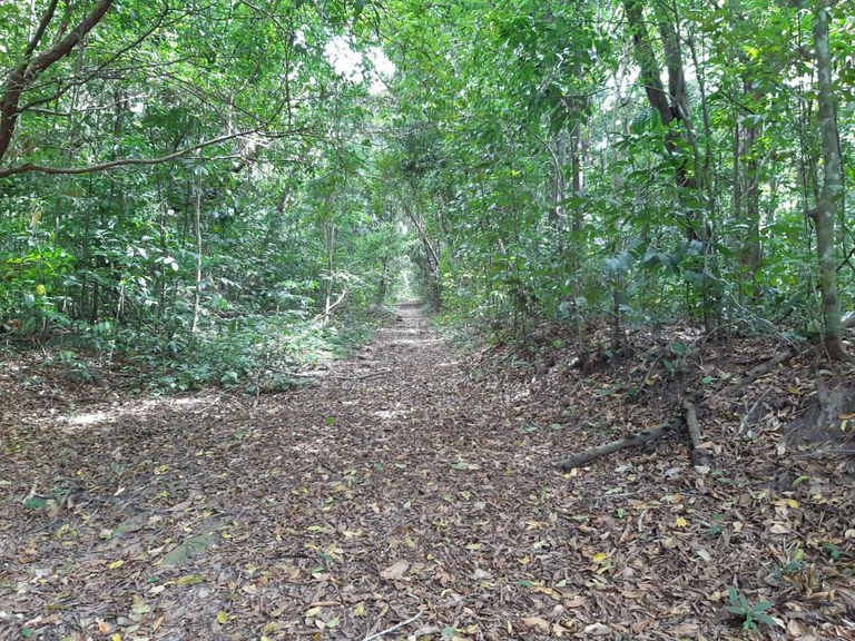 João Pessoa I (Foto Teresa Duarte).jpg