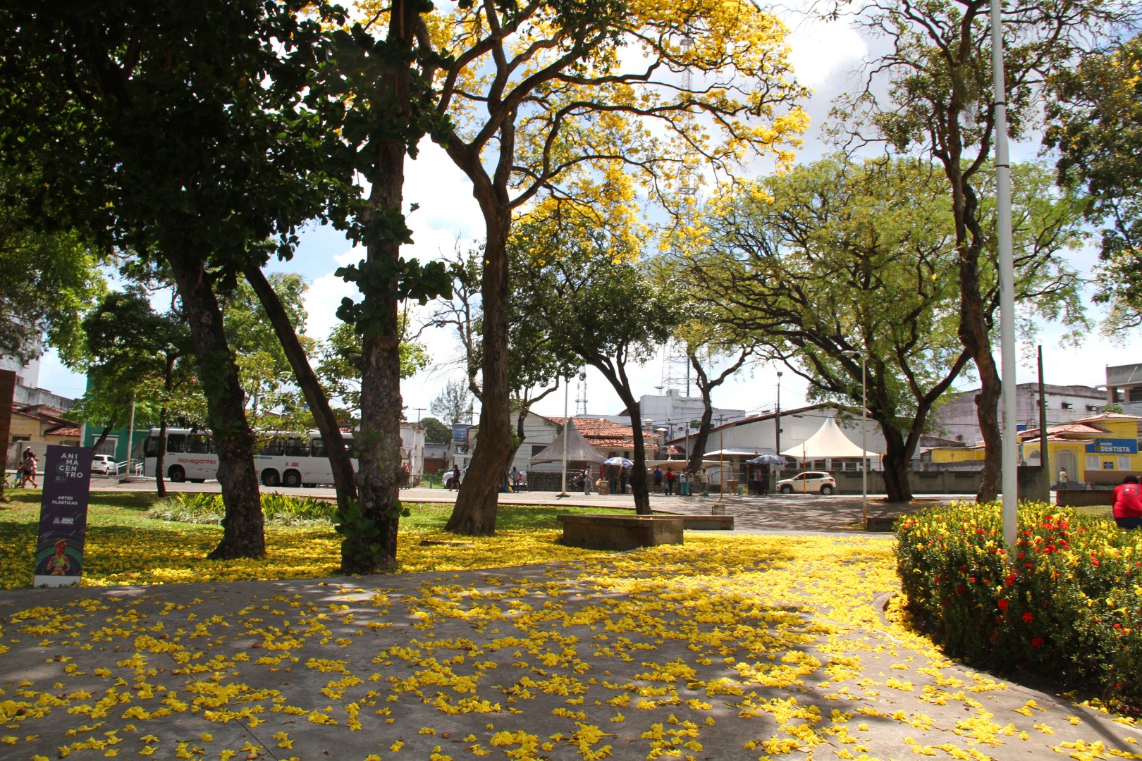 João Pessoa (Foto Teresa Duarte).JPG