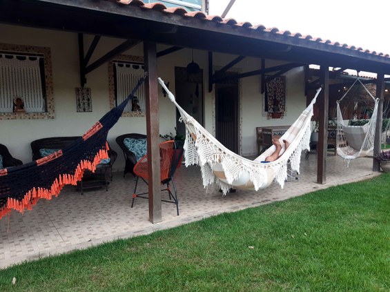 Araruna-(Foto-Teresa-Duarte).jpg Araruna-(Foto-Teresa-Duarte).jpg