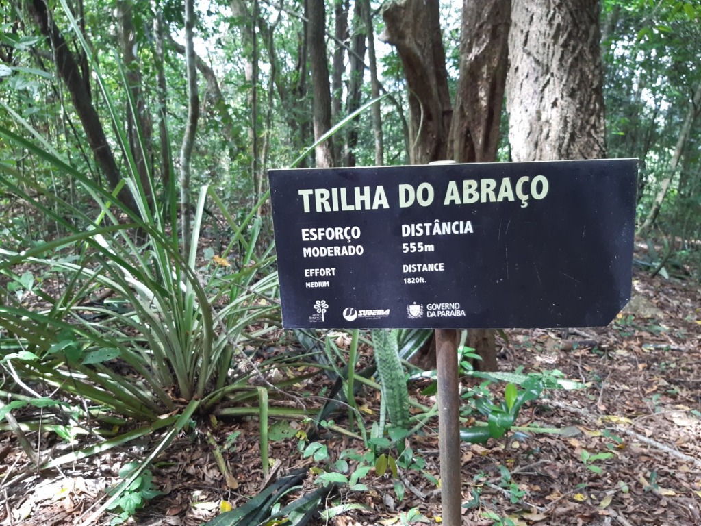 Jardim Botânico (Foto Teresa Duarte).jpg