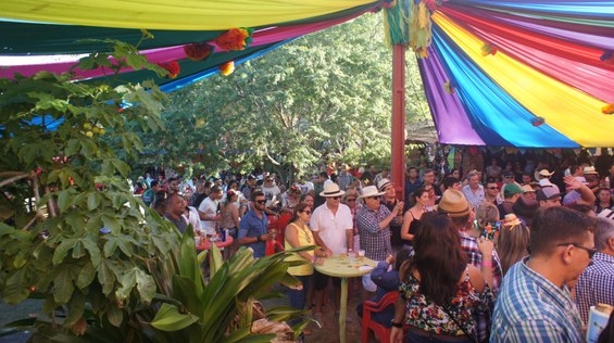 Sata Luzia (Foto Teresa Duarte).JPG Sata Luzia (Foto Teresa Duarte).JPG