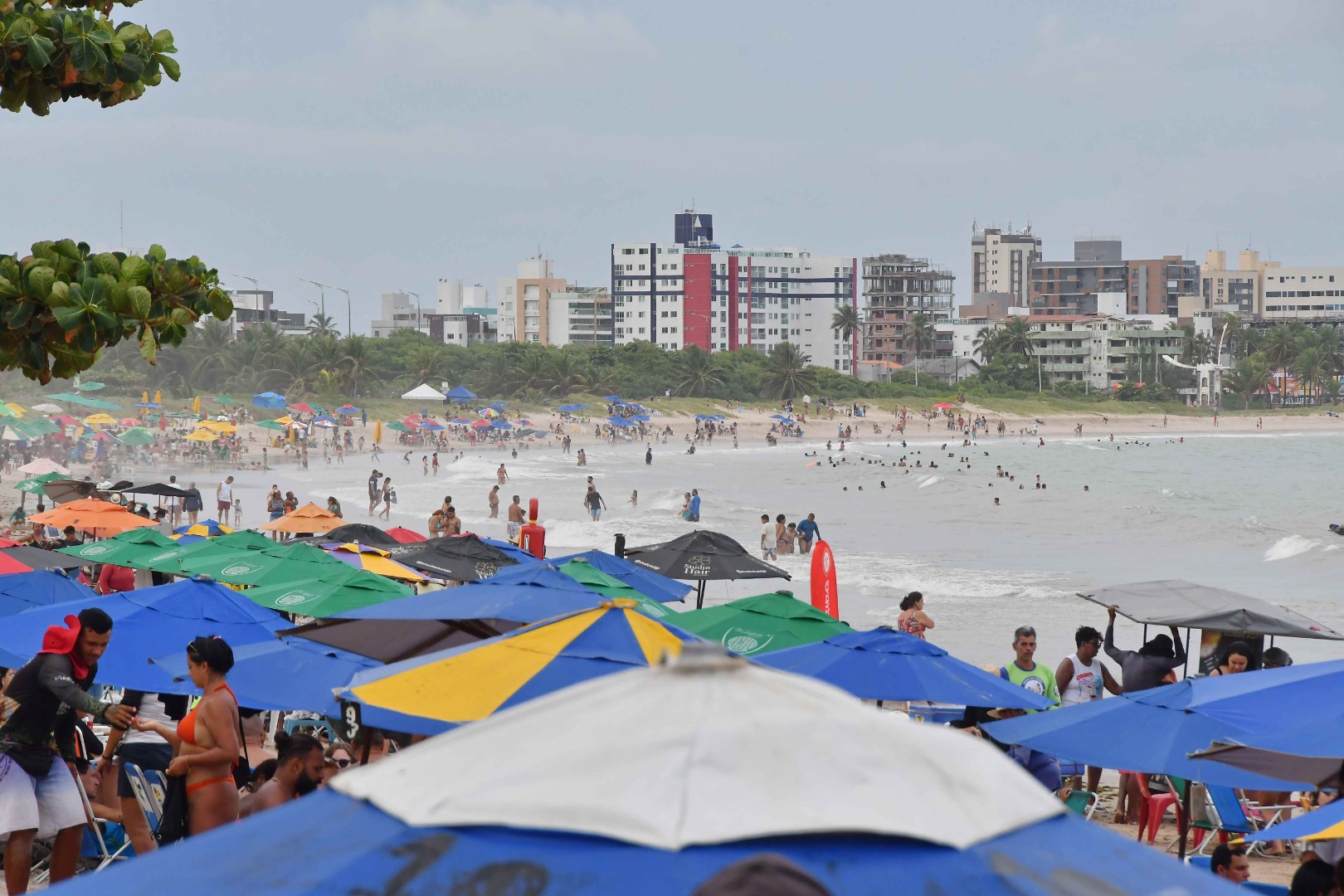 2024.02.13_turistas carnaval © roberto guedes (93).JPG