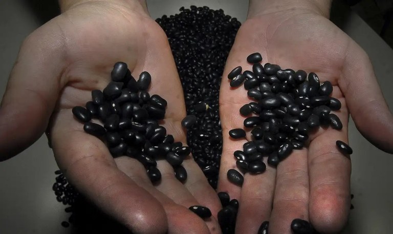 Feijao © Marcello Casal Jr_Agencia Brasil.jpg