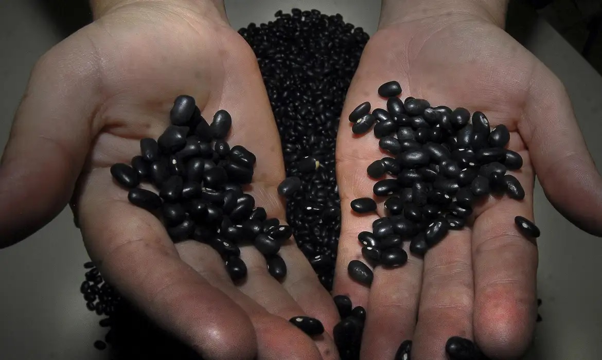 Feijao © Marcello Casal Jr_Agencia Brasil.jpg