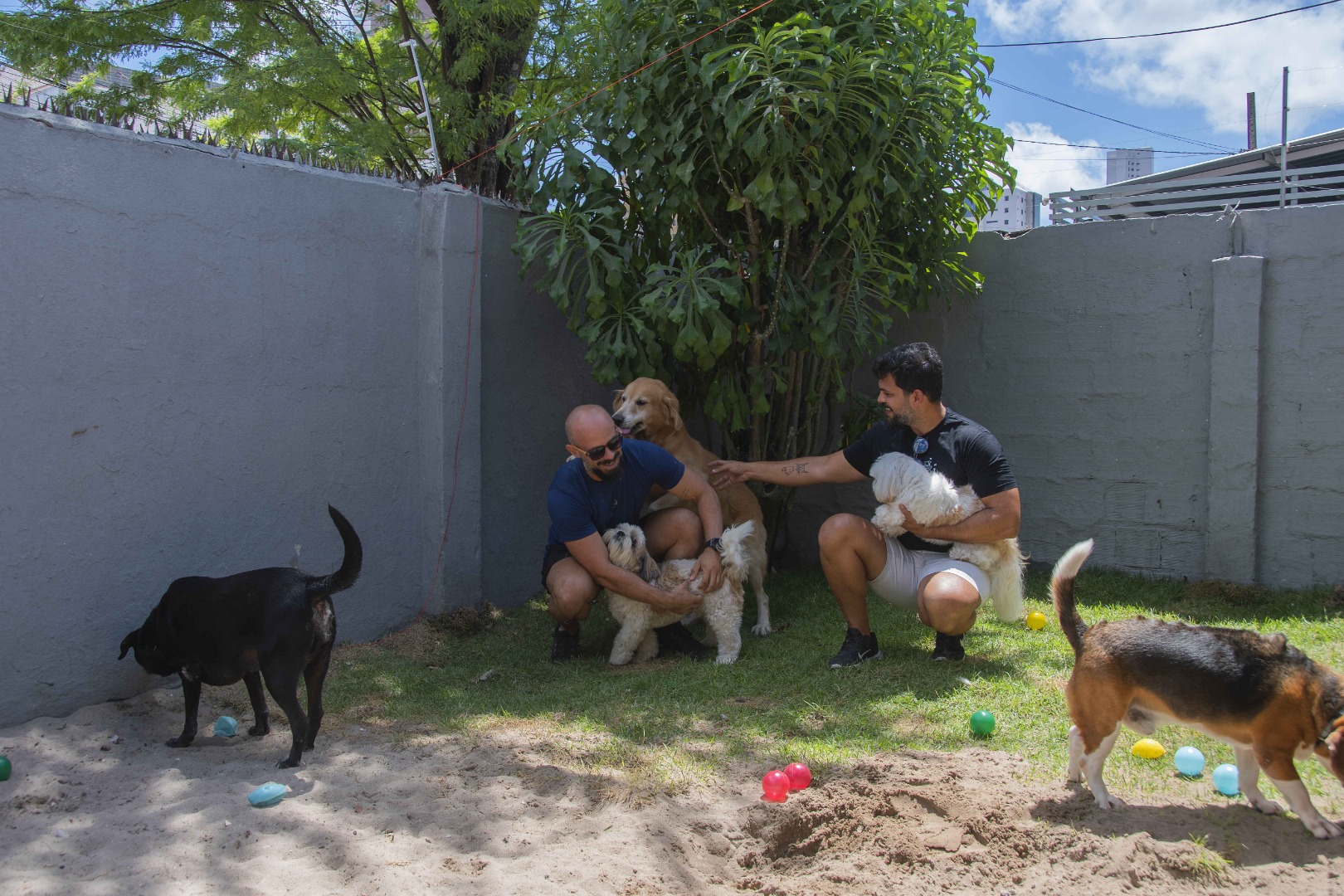 2026.01.06 Hotel para pets © Leonardo Ariel (4).JPG