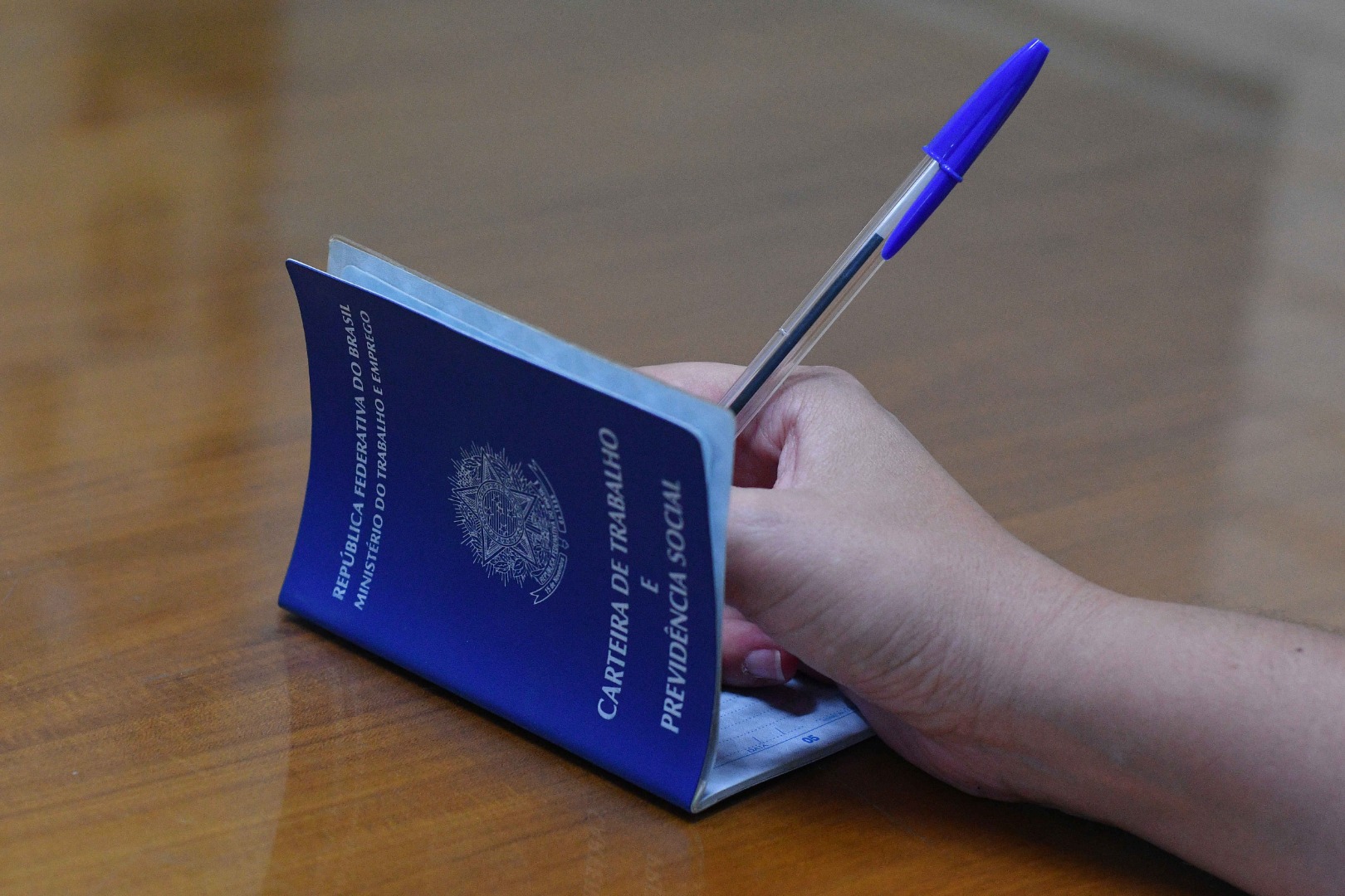 carteira de trabalho © Carlos Rodrigo (3).JPG