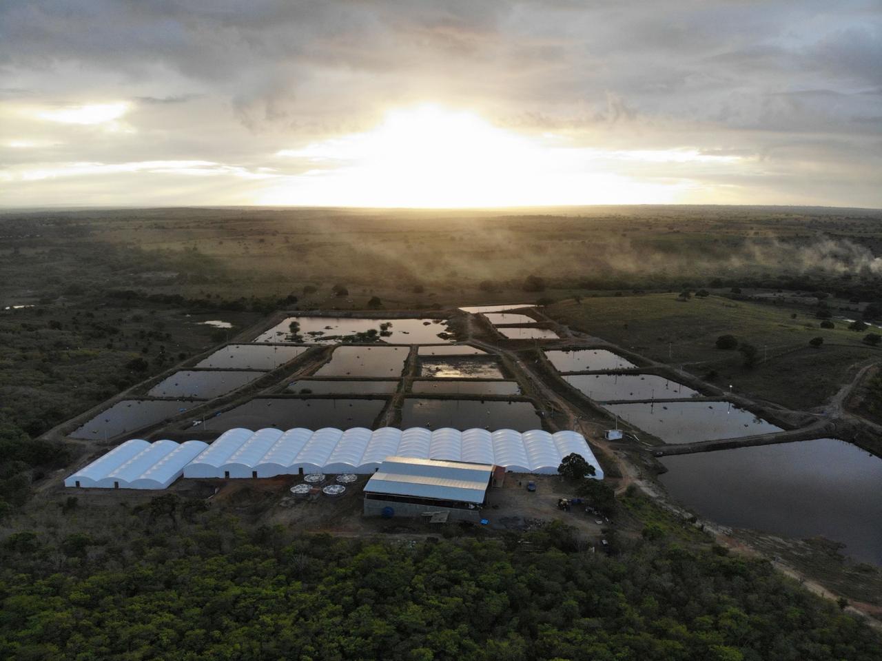 Crédito Fazenda Mirim 4.jpeg