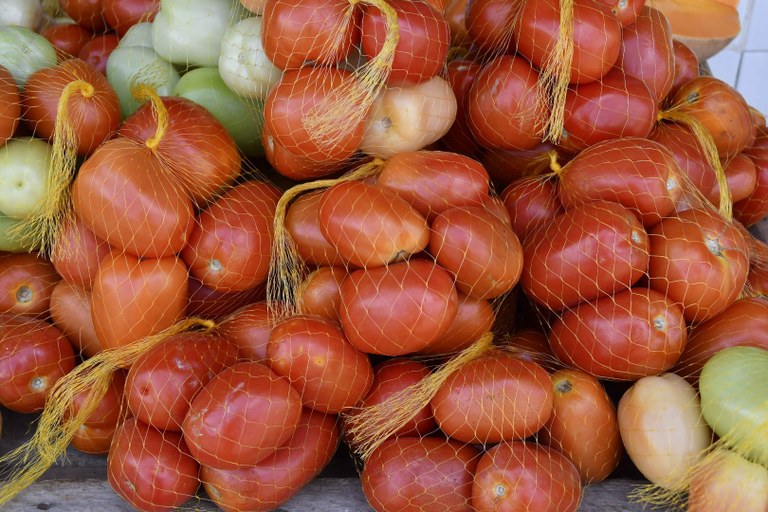 tomates © roberto guedes (16).JPG