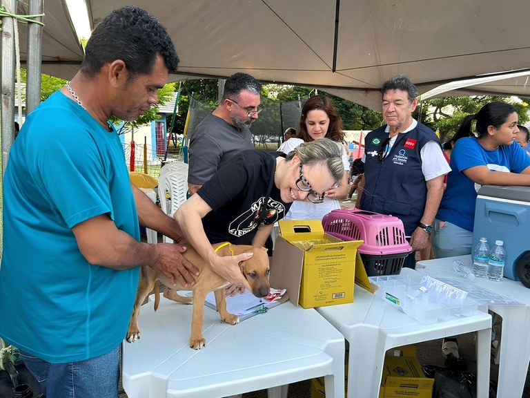 Fotos ações da Gerência da Causa Animal - credito arquivo da gerência (4)_1.jpeg