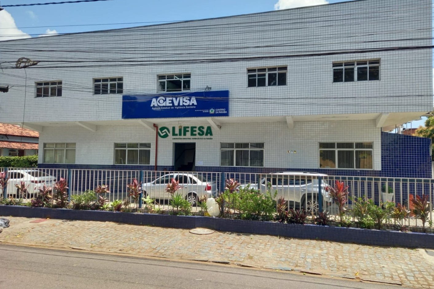 Lifesa ©Divulgação_Lifesa.jpeg