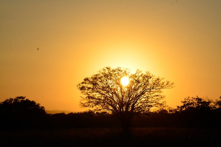 alvorecer fazenda salambaia © roberto guedes (16).JPG