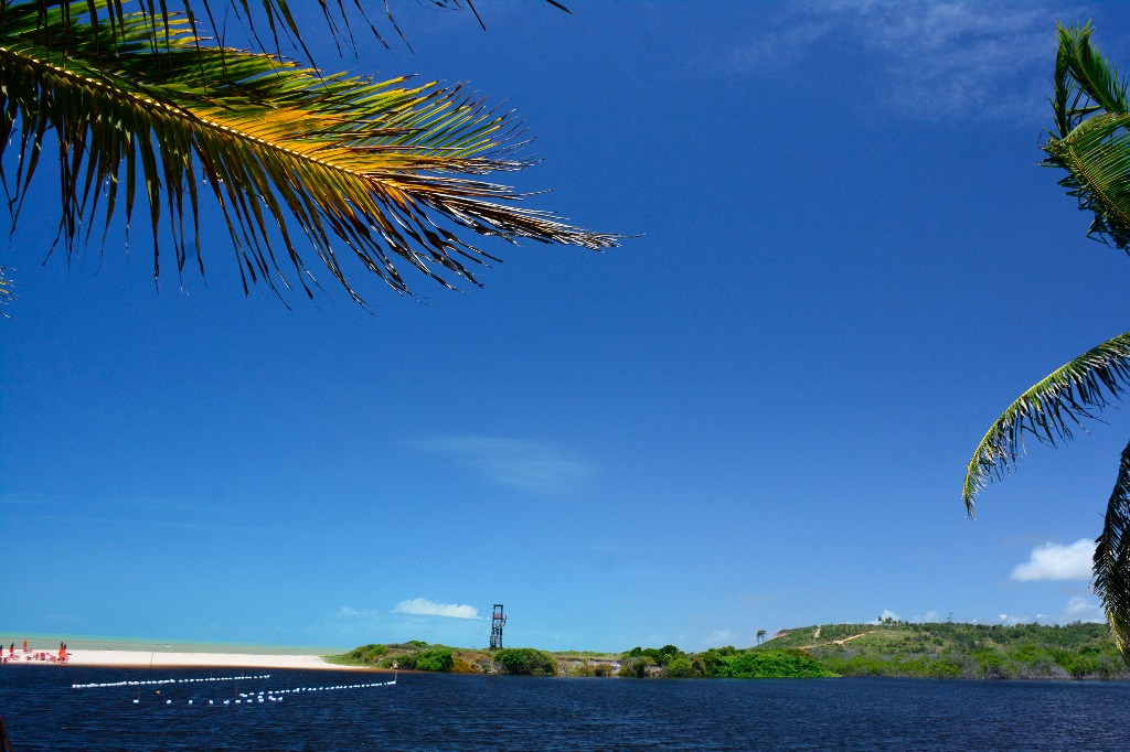 APA Tambaba_praia bela © roberto guedes (71).JPG