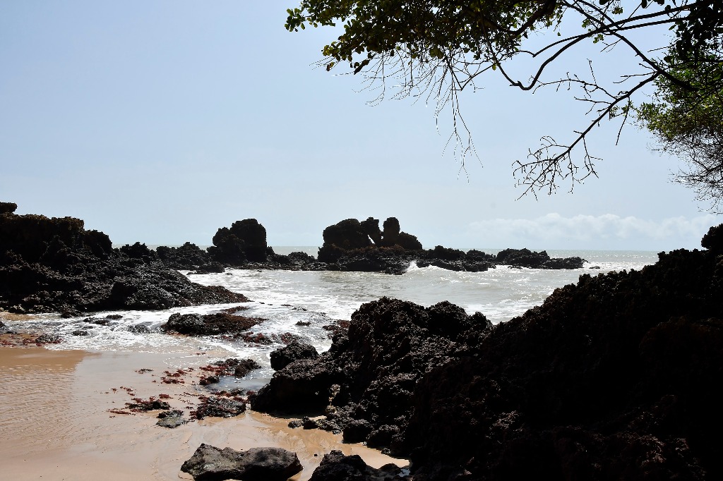 APA Tambaba_praia da arapuca © roberto guedes (49).JPG