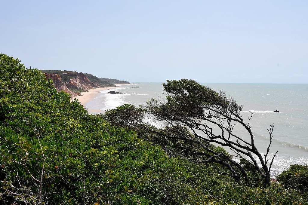 APA Tambaba_praia da arapuca © roberto guedes (51).JPG