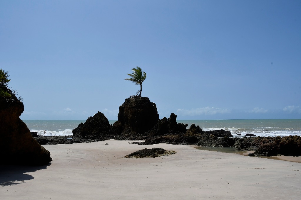 APA Tambaba_praia de tambaba © roberto guedes (52).JPG