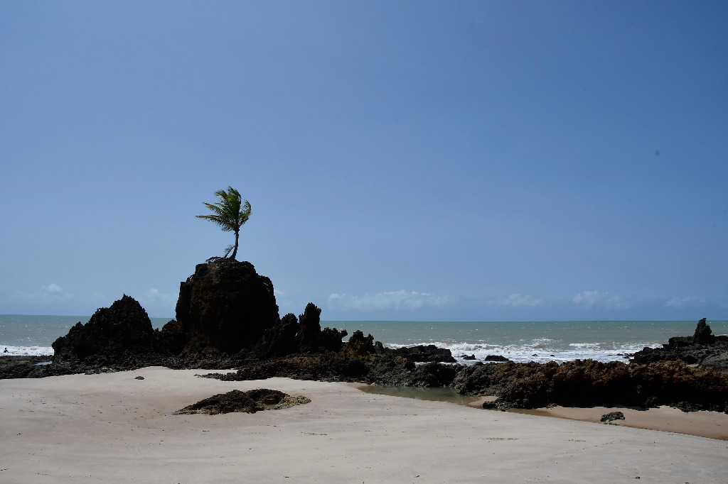 APA Tambaba_praia de tambaba © roberto guedes (53).JPG