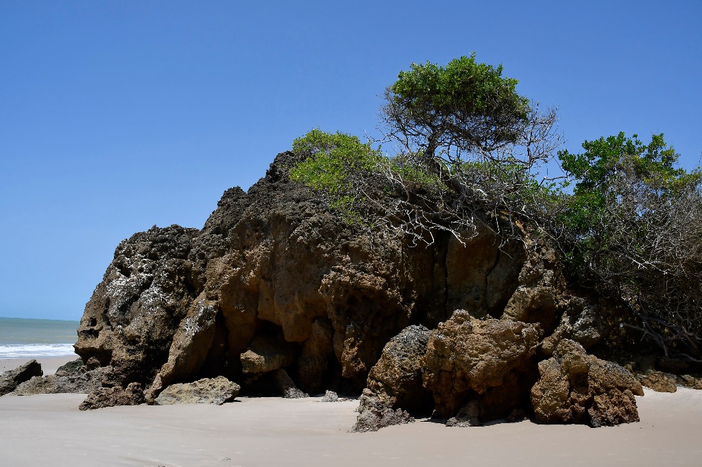 APA Tambaba_praia de tambaba © roberto guedes (56).JPG