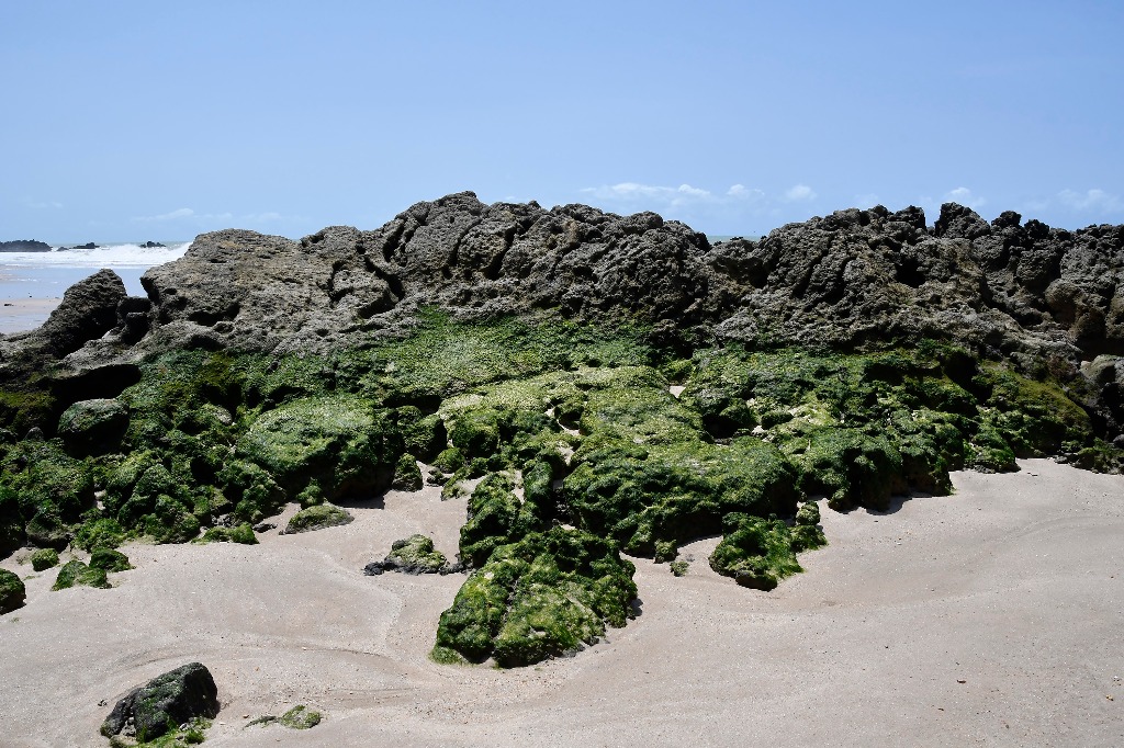 APA Tambaba_praia de tambaba © roberto guedes (58).JPG