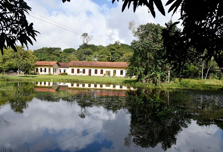 APA mata do buraquinho © roberto guedes (2).JPG