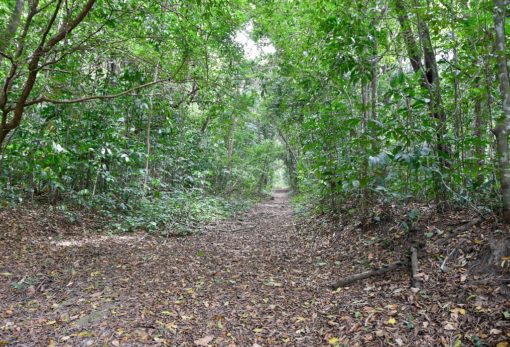 APA mata do buraquinho © roberto guedes (22).JPG