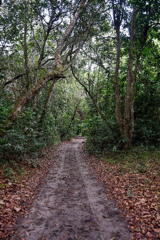 parque estadual da mata do xem xem © roberto guedes (14).jpg