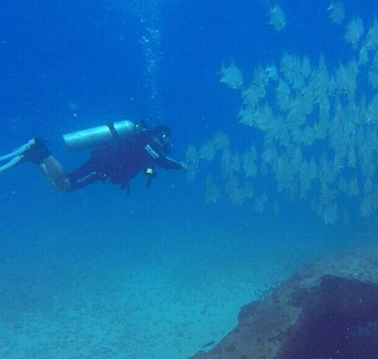 mergulhador em Intermares. Foto: Diego Luna