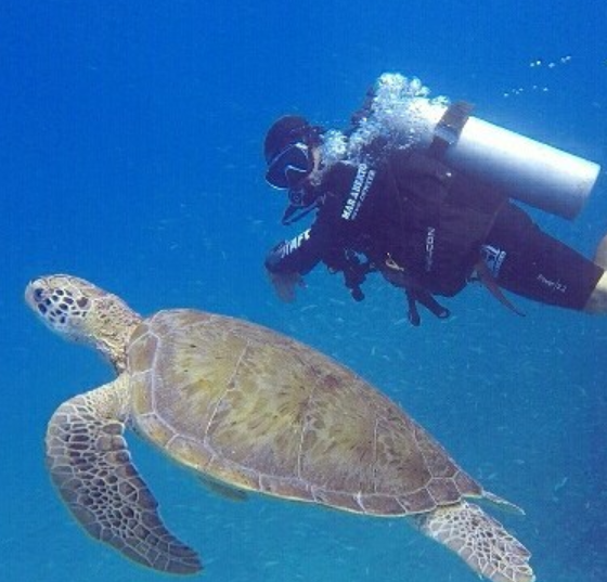 mergulho ao redor de Alvarenga, Intermares. Foto: Diego Luna