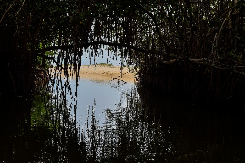 parque estadual trilhas © roberto guedes (13).jpg