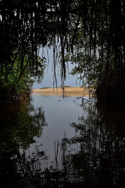 parque estadual trilhas © roberto guedes (15).jpg