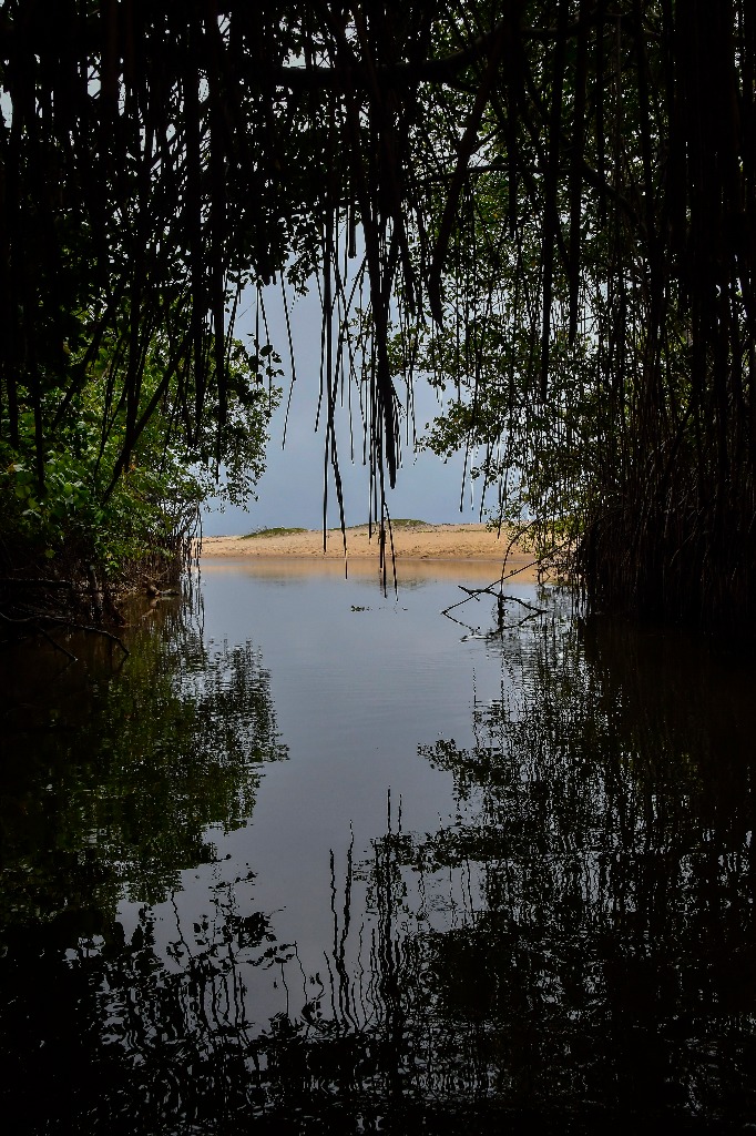 parque estadual trilhas © roberto guedes (15).jpg