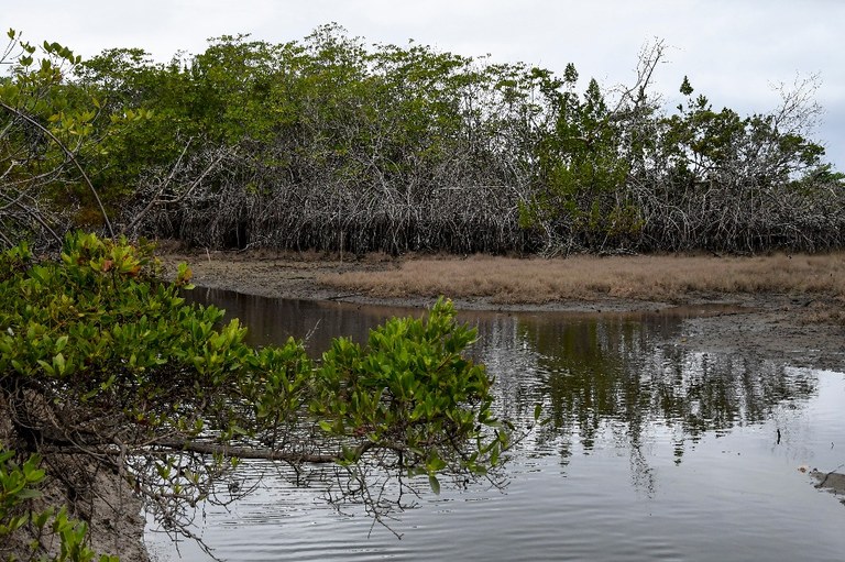 parque estadual trilhas © roberto guedes (2).jpg