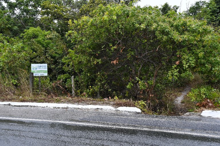 parque estadual trilhas © roberto guedes (26).JPG