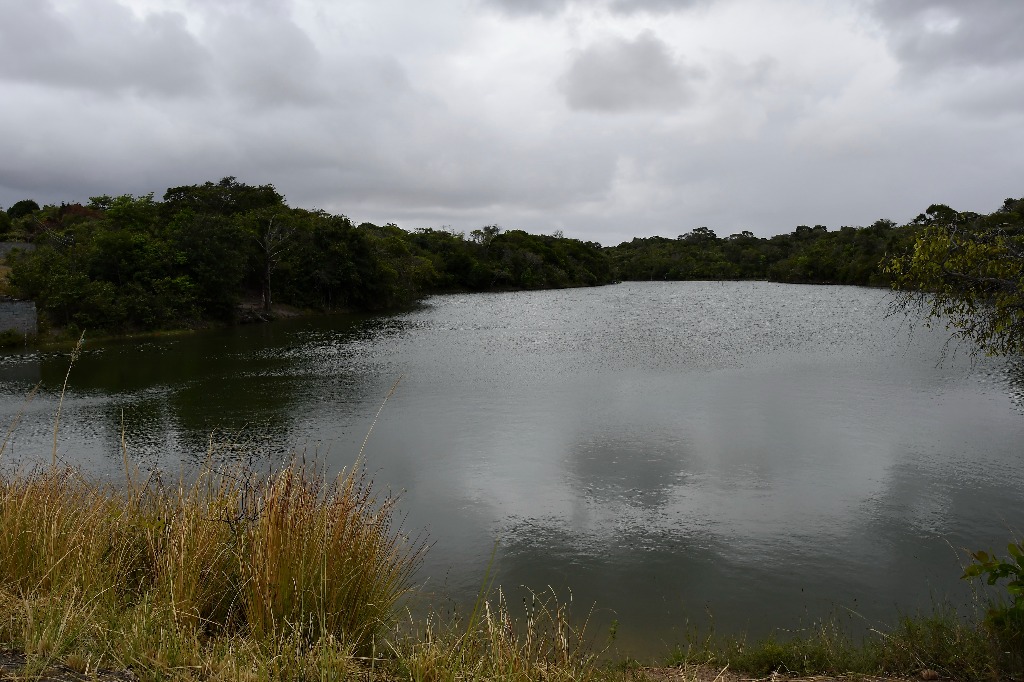 parque estadual trilhas © roberto guedes (28).JPG