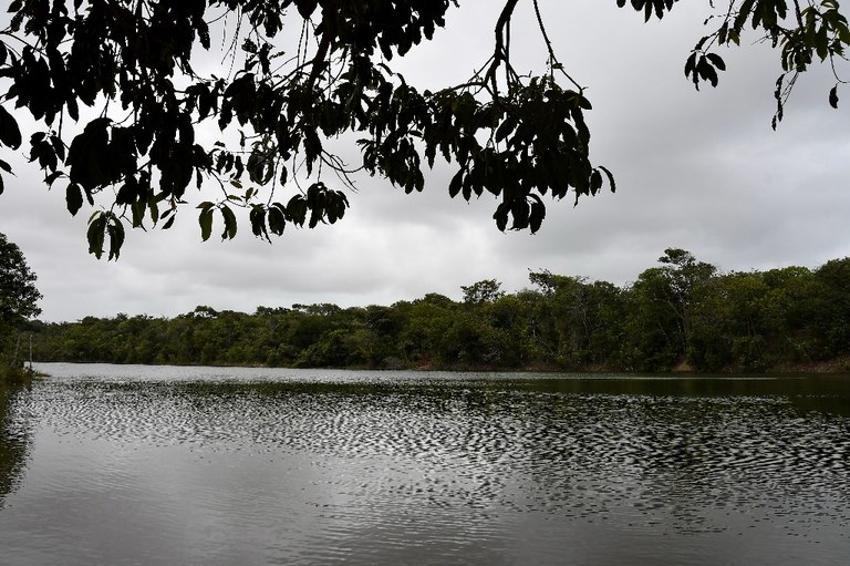 parque estadual trilhas © roberto guedes (29).JPG