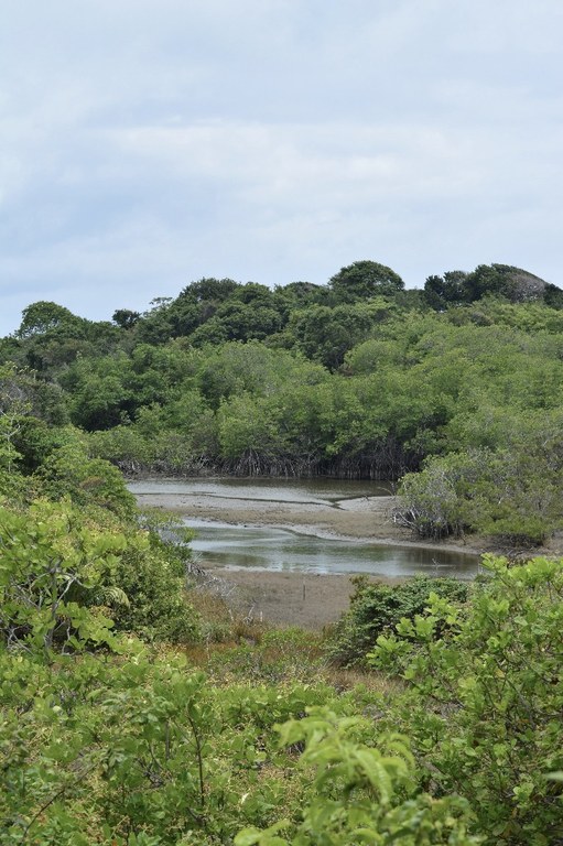 parque estadual trilhas © roberto guedes (33).JPG